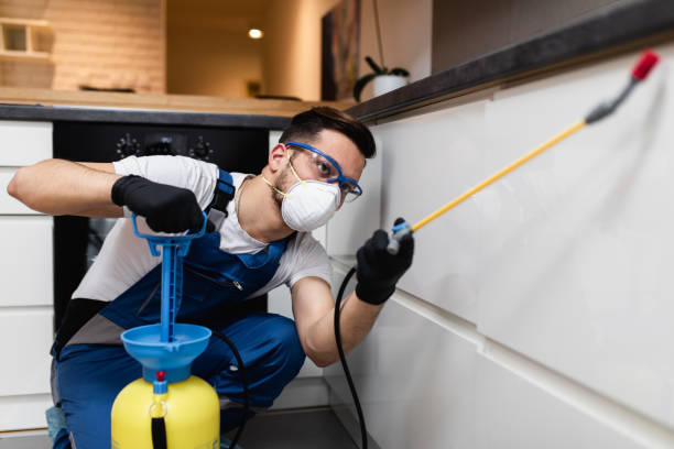 Best Pest Control for Restaurants  in Georgetown, GA