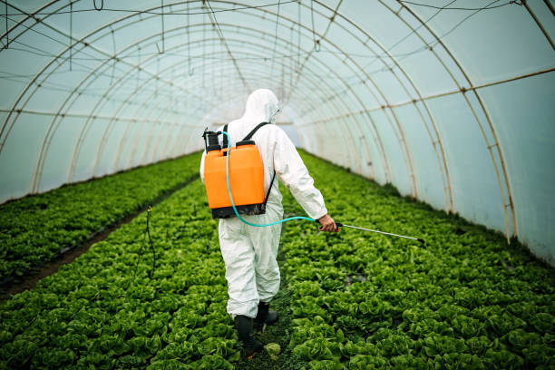 Pest Control for Restaurants in Georgetown, GA
