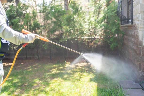 Best Exterminator Services  in Georgetown, GA