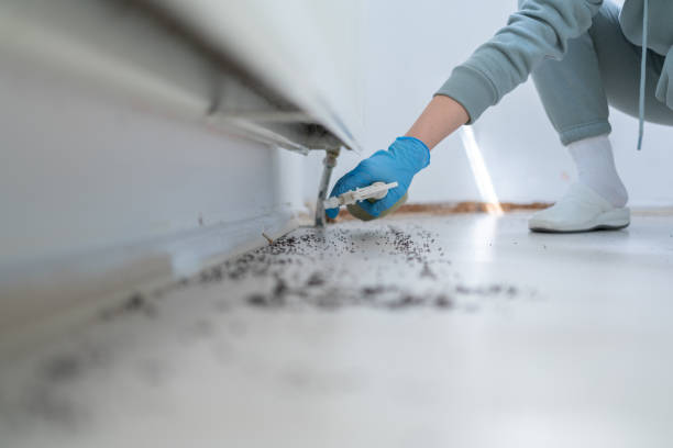 Best Pest Prevention Services  in Georgetown, GA